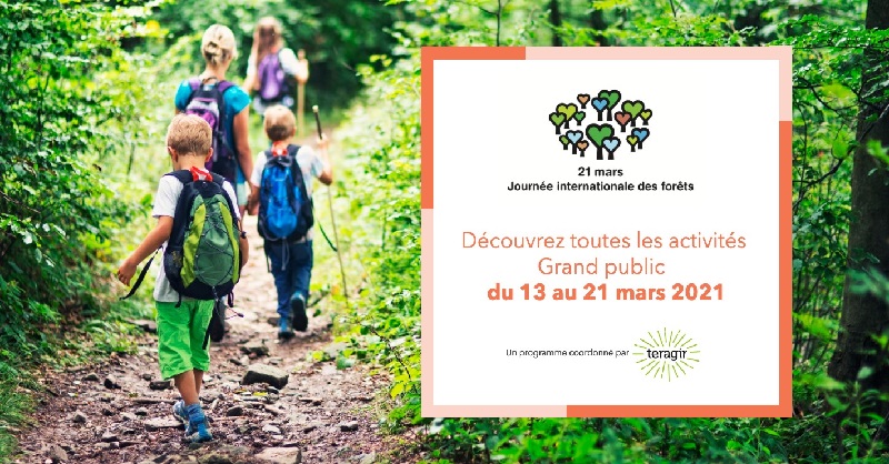 Semaines d'activités pour la Journée internationale des forêts
