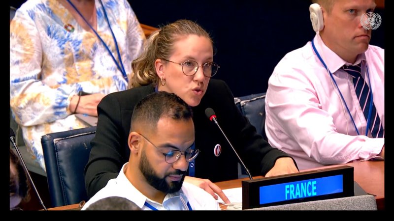 Intervention de Clarisse Bourjon, Responsable Reconnaissance et Valorisation, chargée des Relations institutionnelles à France Volontaires