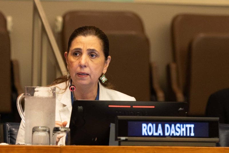 Rola Dashti , Secrétaire exécutive, Commission économique et sociale des Nations Unies pour l'Asie occidentale (CESAO)