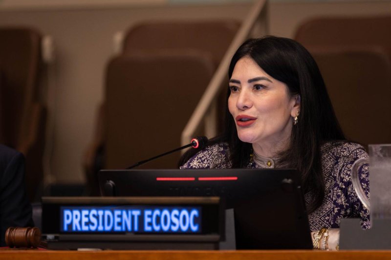 Maritza Chan , vice-présidente, ECOSOC