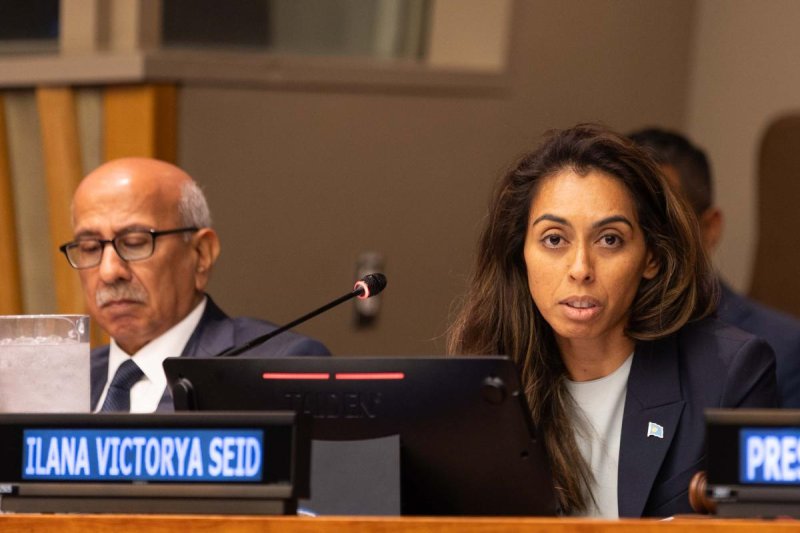 Ilena Seid , Représentante permanente des Palaos auprès de l'ONU et Présidente de l'Alliance des petits États insulaires (AOSIS) et Navid Hanif , Sous-Secrétaire général chargé du développement économique, DAES de l'ONU