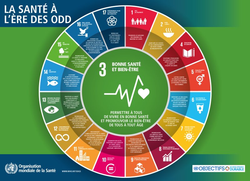 Maquette des interrelations entre ODD sur la santé - Organisation mondiale de la Santé (OMS)