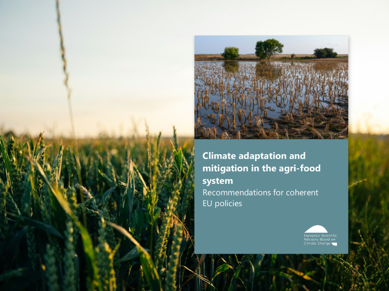 Rapport du Conseil consultatif scientifique européen : « Adaptation au changement climatique et atténuation de ses effets dans le système agroalimentaire – Recommandations pour des politiques européennes cohérentes »